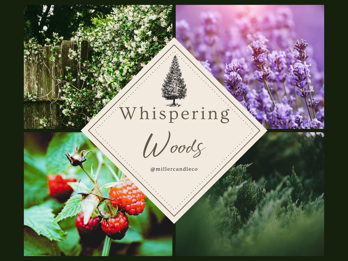 Whispering Woods