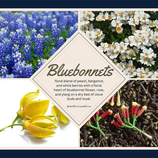 Bluebonnets — Goat Milk and Honey Lotion - Miller Candle Co.