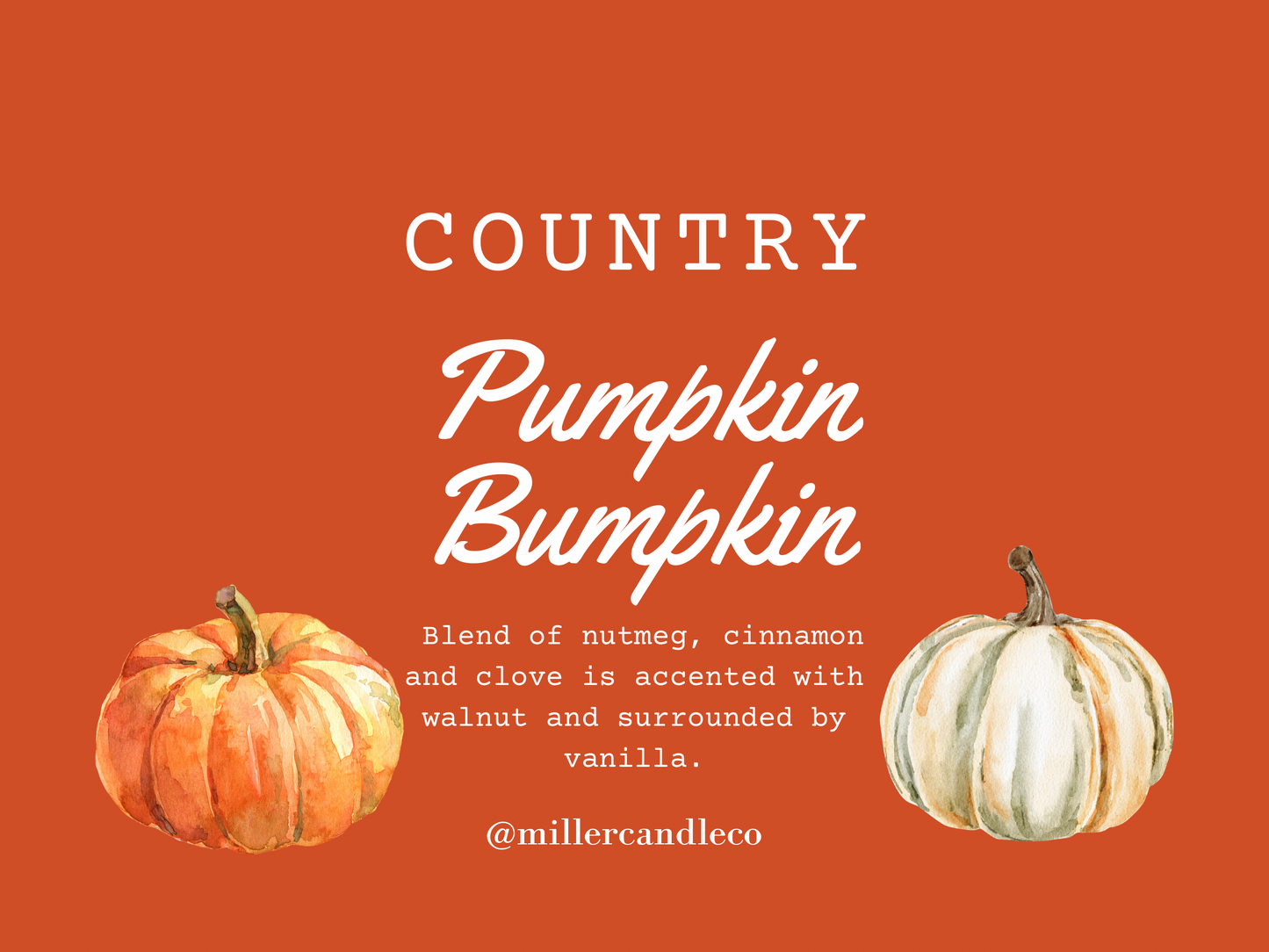 Country Pumpkin Bumpkin Wax Melts