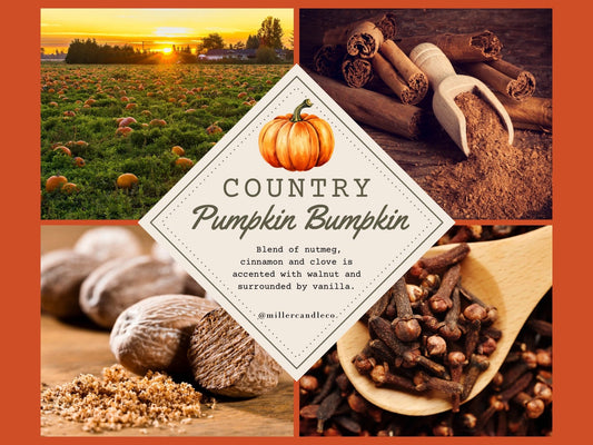 Country Pumpkin Bumpkin Wax Melts - MillerCandleCo.