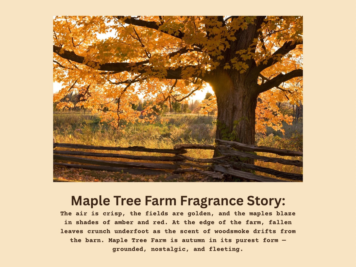 Maple Tree Farm Wax Melts - MillerCandleCo.