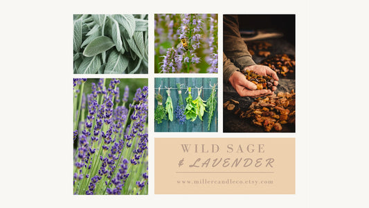 Wild Sage & Lavender Soy Candle - MillerCandleCo.