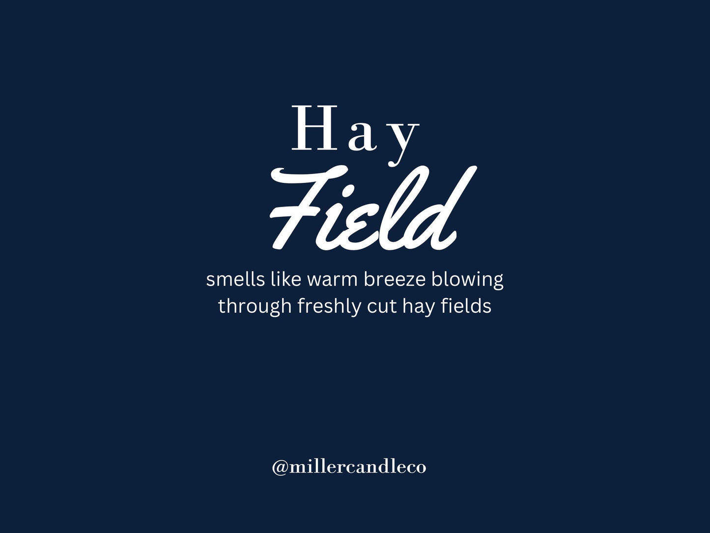 Hay Field Candle