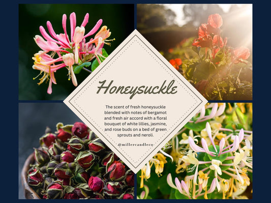 Honeysuckle Candle - MillerCandleCo.