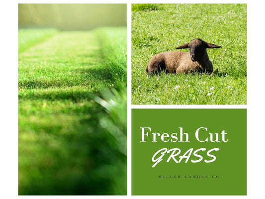 Fresh Cut Grass Candle - MillerCandleCo.