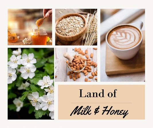Land of Milk & Honey Candle - MillerCandleCo.