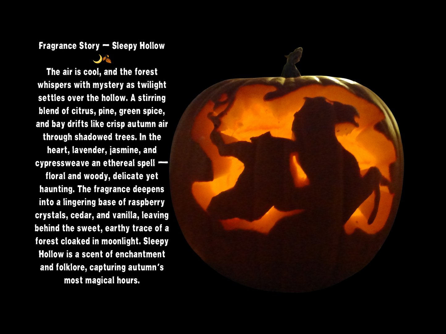 Sleepy Hollow Candle-Limited Fall Collection