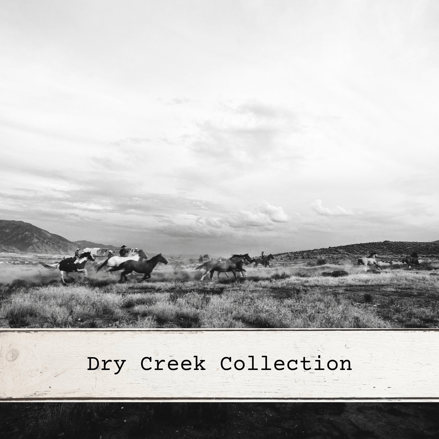 Dry Creek Collection - MillerCandleCo.