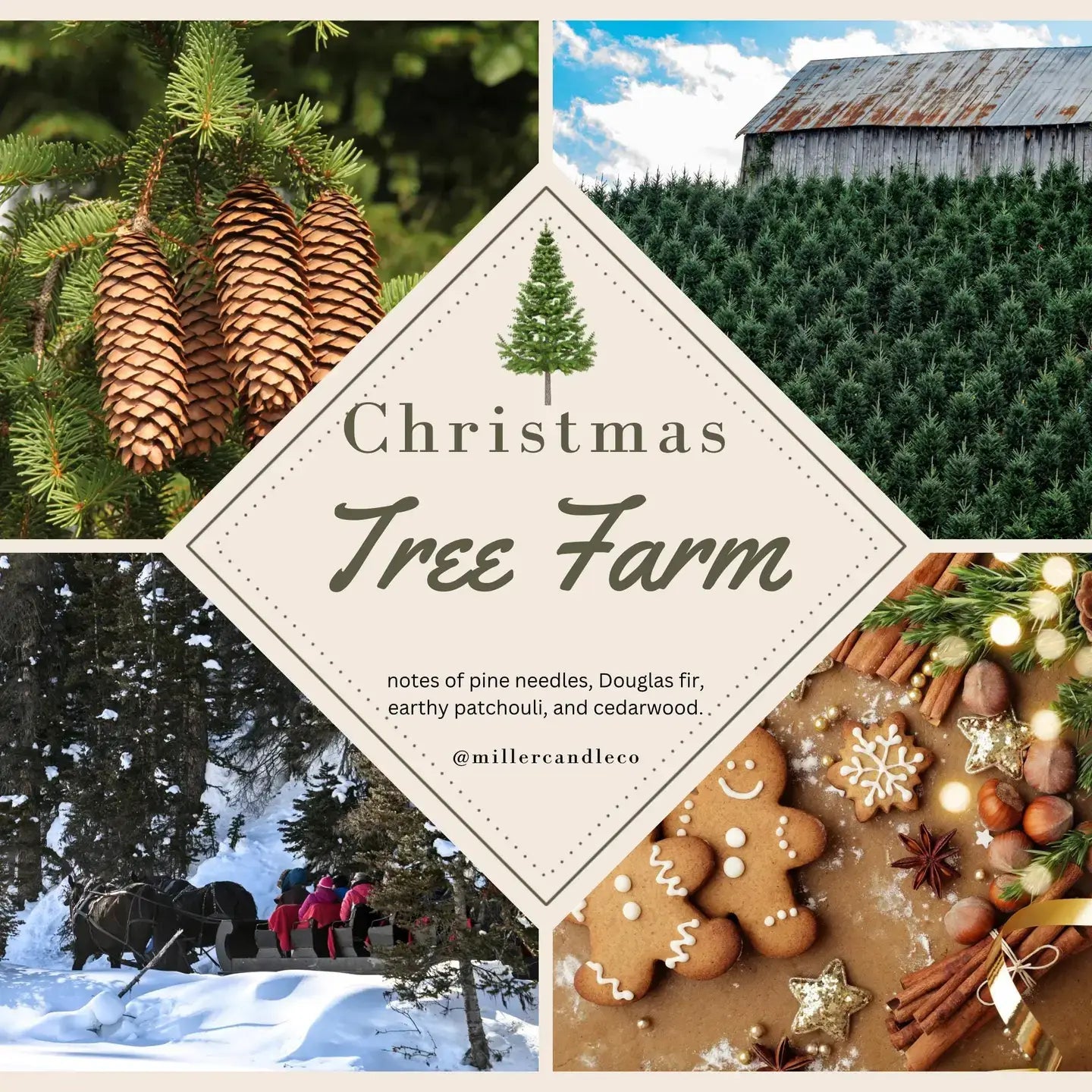 Christmas Tree Farm Car Diffuser - Limited Edition - MillerCandleCo.