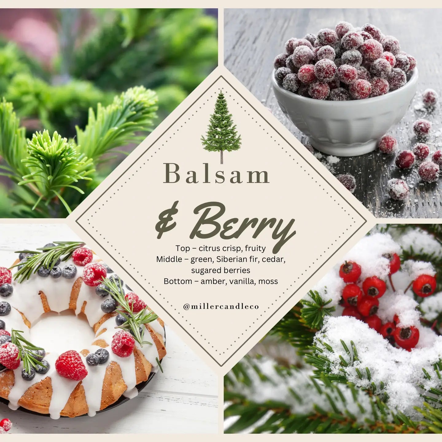 Balsam & Berry Reed Diffuser - Limited Winter Collection - MillerCandleCo.