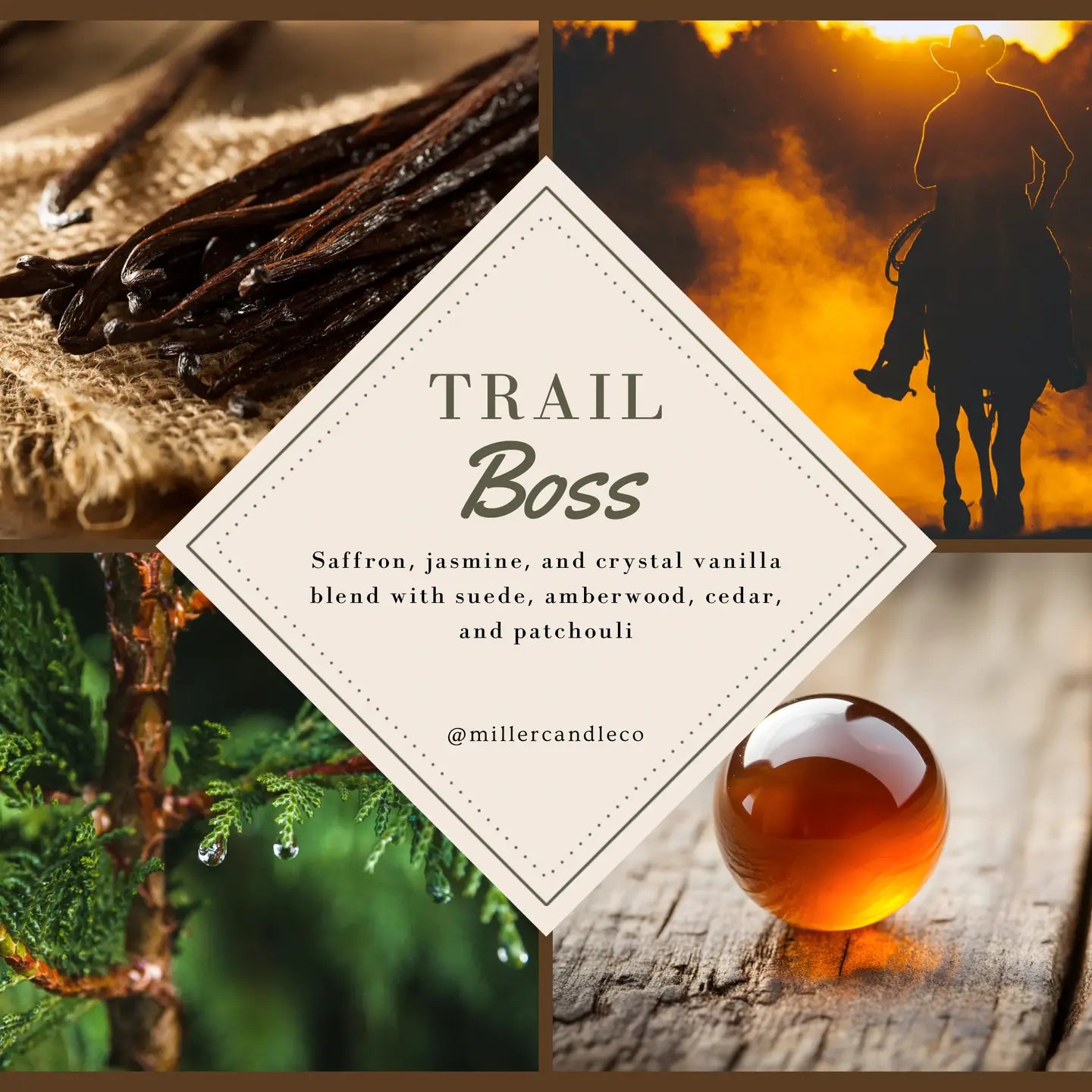 Trail Boss-Goat Milk + Honey Lotion