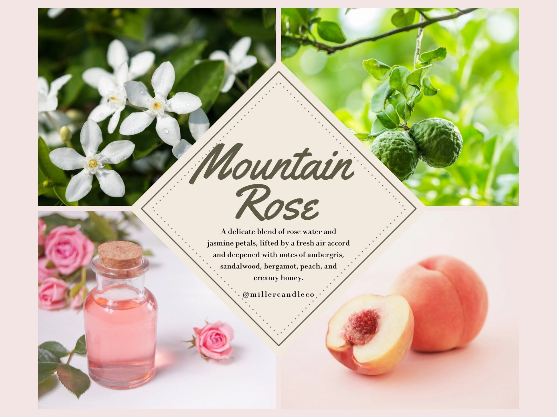 Mountain Rose — Barn & Hive Western Collection Roll - On Perfume - Miller Candle Co.