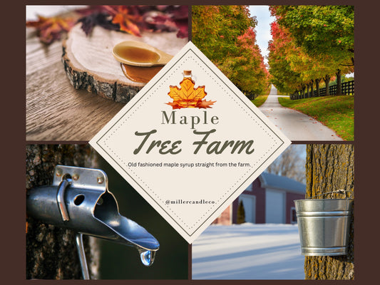 Maple Tree Farm Car Diffuser-Limited Fall Collection