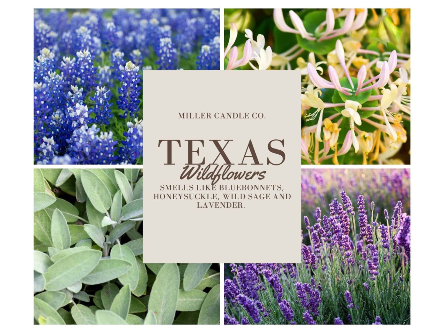 Texas Wildflowers Wax Melts