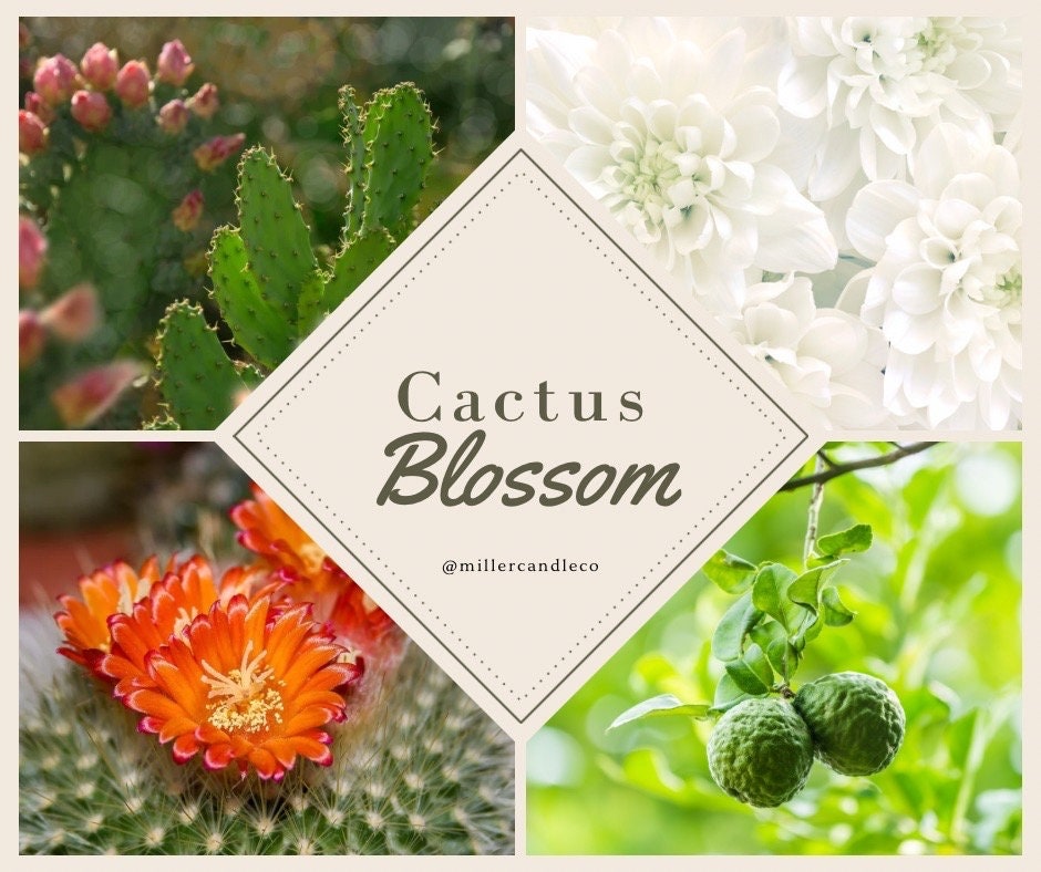 Cactus Blossom Candle