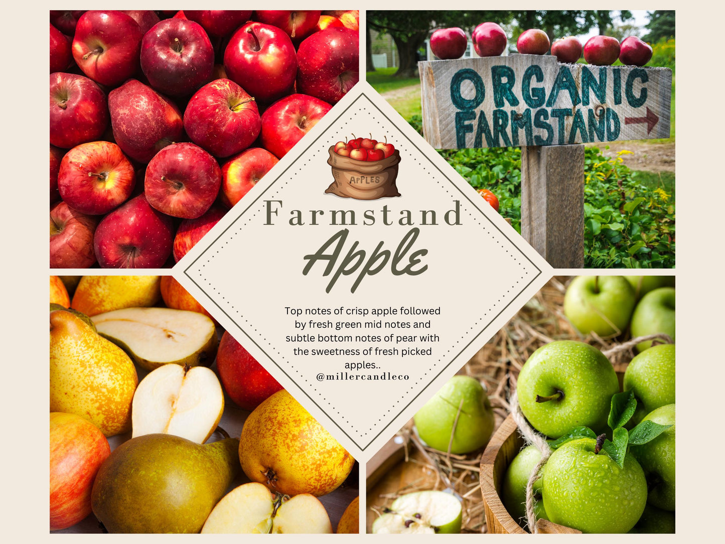 Farmstand Apple Wax Melts