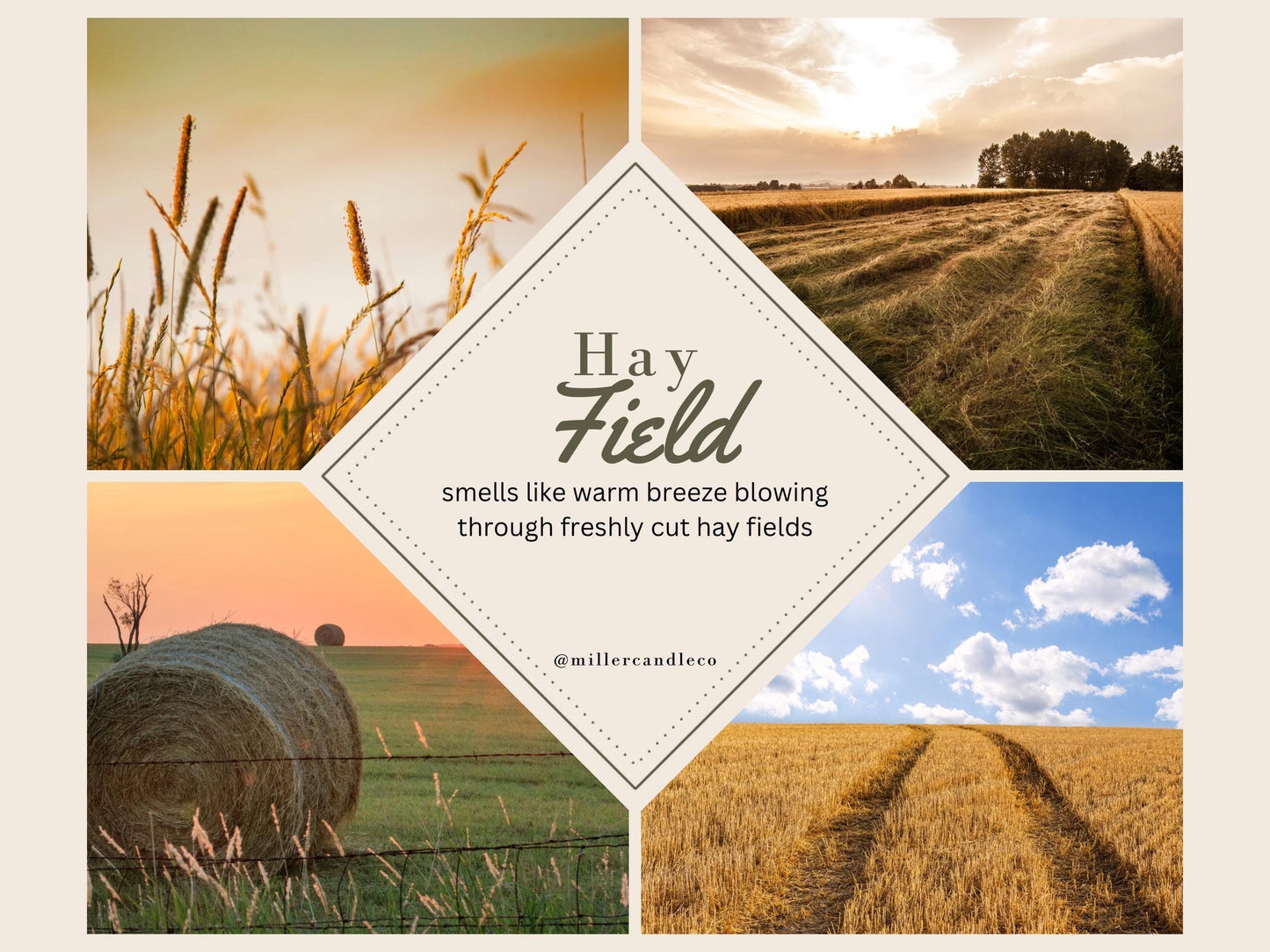 Hay Field Candle