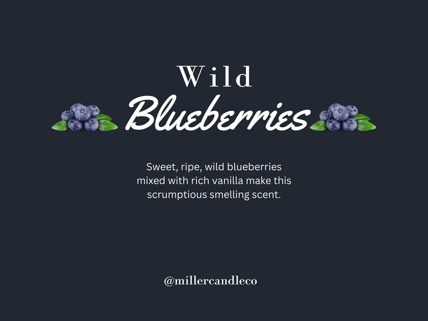 Wild Blueberries Candle