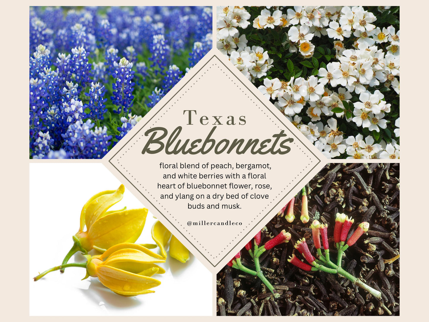 Texas Bluebonnets Wax Melts