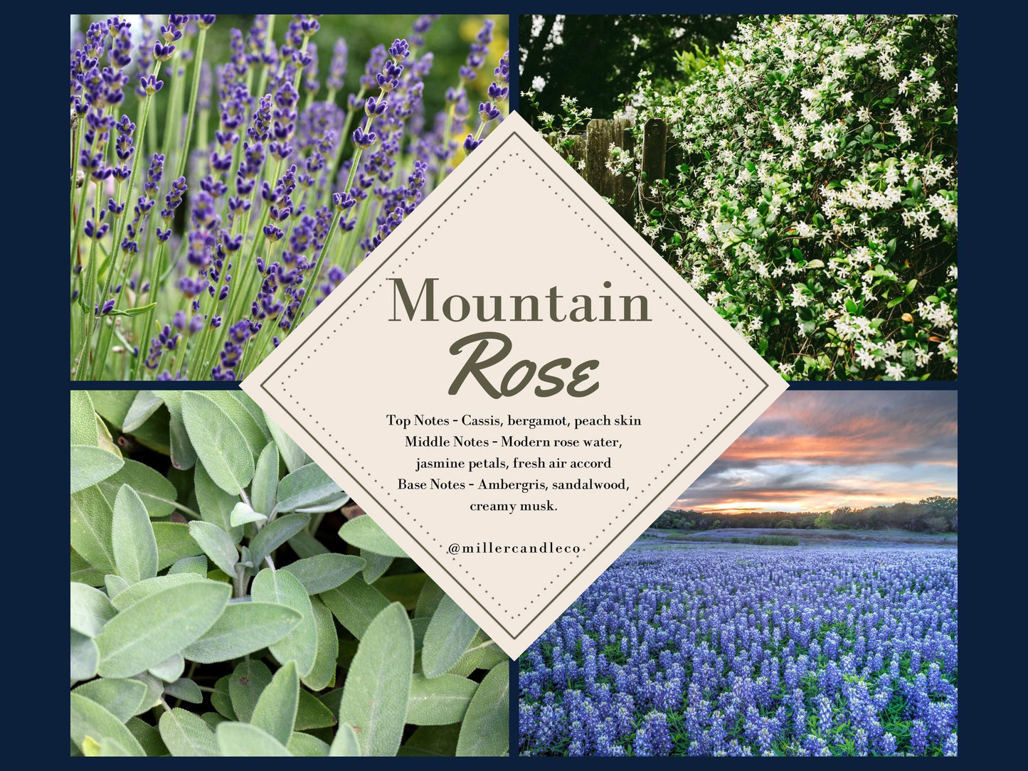 Mountain Rose Soy Candle