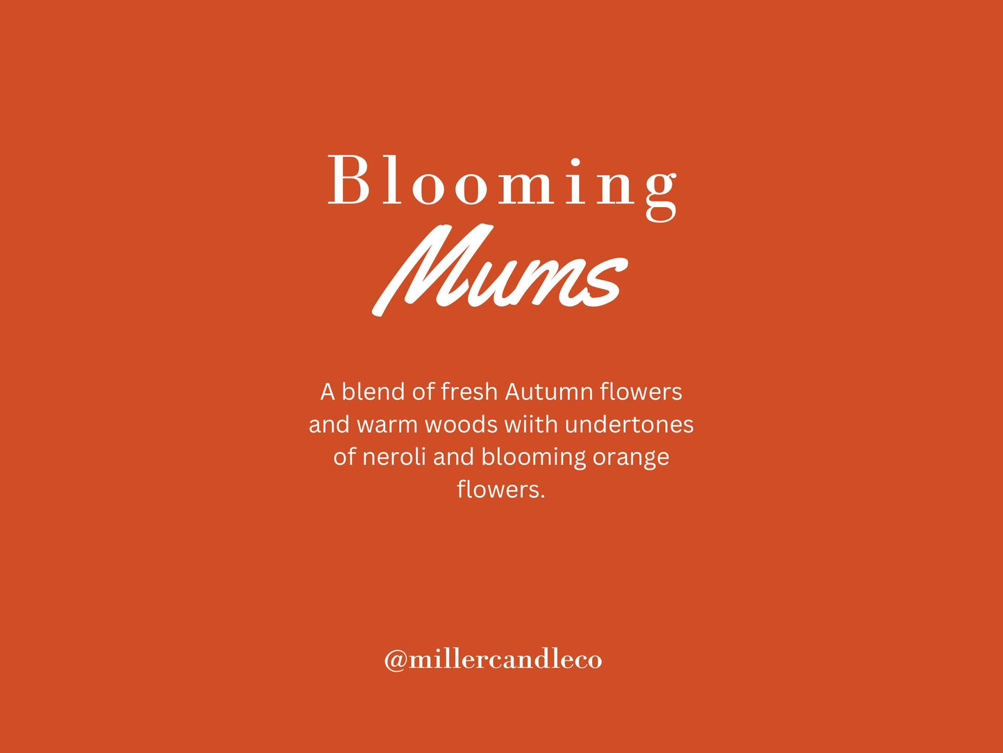 Blooming Mums Candle