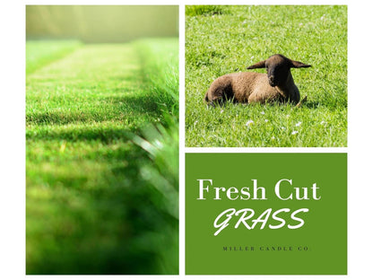 Fresh Cut Grass Candle