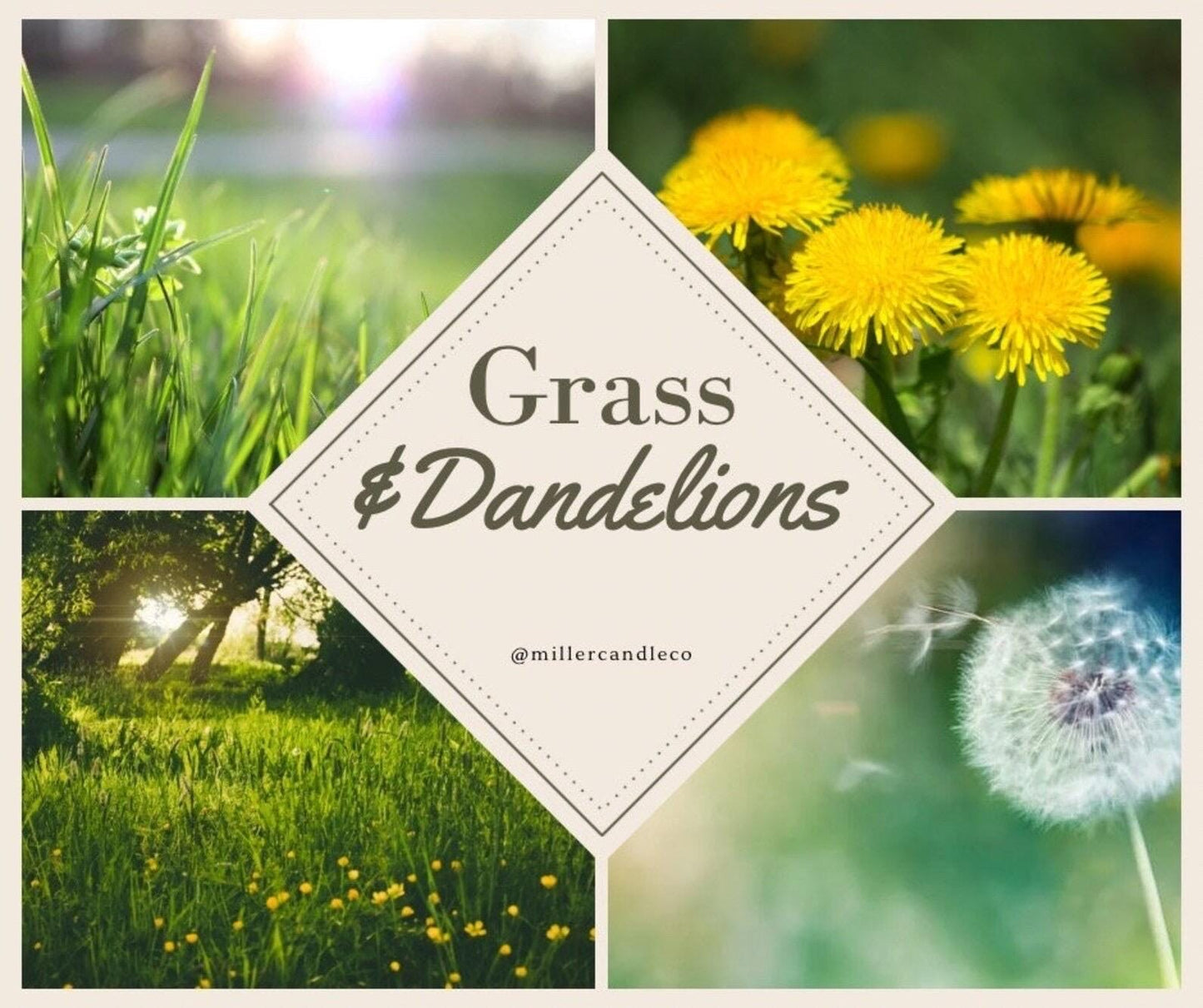 Grass & Dandelions Candle