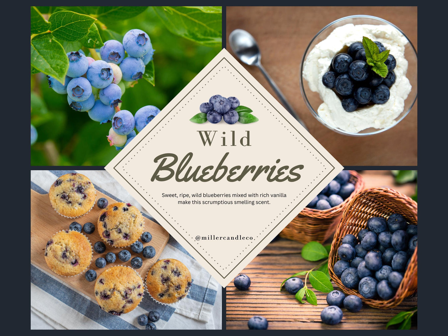 Wild Blueberries Candle